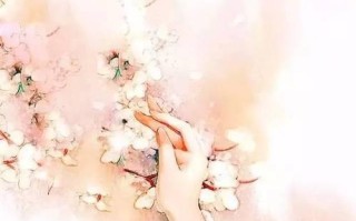 云裳羽衣雨巷素馨套装如何获得？获取方法有哪些？