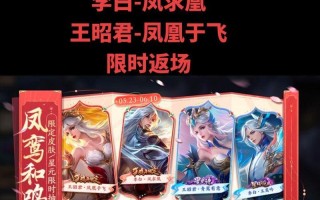 王者荣耀飞痕皮肤的价格是多少？