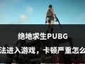 主机卡顿问题在绝地求生中如何解决？