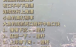 怎么钓王者荣耀？钓鱼技巧有哪些？