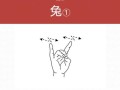 兔子五法的正确打法是什么？有哪些注意事项？