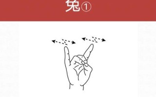 兔子五法的正确打法是什么？有哪些注意事项？