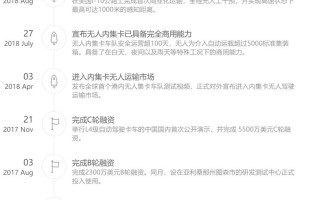 完成D轮9500万美元融资, 中国新自动驾驶独角兽诞生