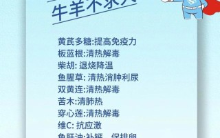 牛羊养殖技巧和注意事项？