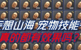 《山海宠物技能升级攻略》（玩转技能升级）