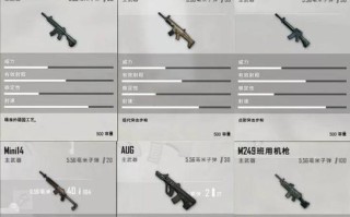 绝地求生宏设置吞子弹方法是什么？