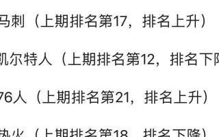 排行榜更新频率是多少？如何根据排行榜调整阵容？