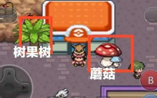 如何在宝可梦剑盾中获得化石？化石获取途径有哪些？