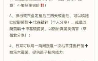 以小森生活（学会这些技巧）