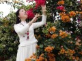 绑定手机后如何参与赏花活动？