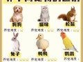 袖珍宠物的获取途径有哪些？