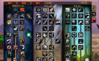 魔兽世界WLK惩戒骑PVP新手如何入门？常见问题有哪些？