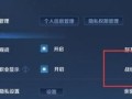王者荣耀查阅权限如何设置？设置步骤是什么？
