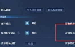 王者荣耀查阅权限如何设置？设置步骤是什么？