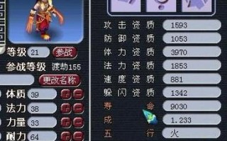 梦幻西游小爆子玩法有哪些技巧？