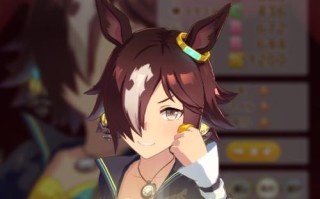 赛马娘历战种马攻略（从菜鸟到高手）