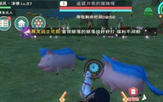 如何获取创造与魔法2023最新永久坐骑兑换码？