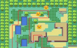 口袋妖怪火红版本10号公路怎么走？路线指南是什么？