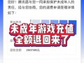 大话西游二玄蜂战斗技巧有哪些？如何快速击败玄蜂？