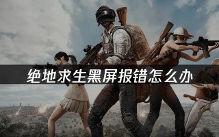 绝地求生黑屏问题如何解决？