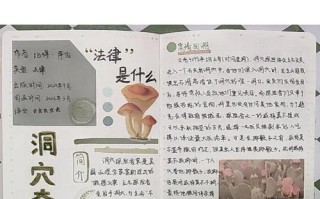 《洞穴》游戏科学家攻略（探索地底深渊）