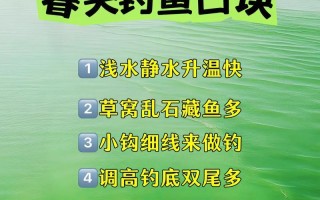 快捷钓鱼的方法是什么？能提高多少效率？