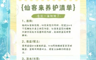 寻仙如何洗通神？洗通神后有何变化？