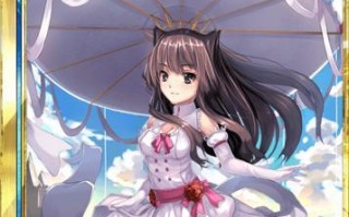 《百万亚瑟王》游戏五星卡牌鉴