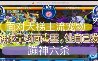 洛克王国天梯速度加点技巧是什么？