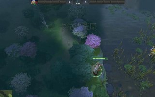 《dota2游戏测试指令使用方法》（掌握游戏测试指令）