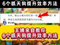 天技如何捕捉？问道中捕捉天技的方法有哪些？