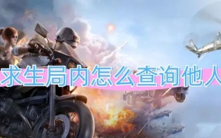 绝地求生中如何隐藏战绩？隐藏战绩的设置方法是什么？