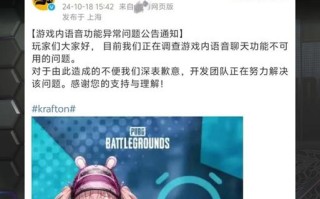 绝地求生中如何开启语音聊天？