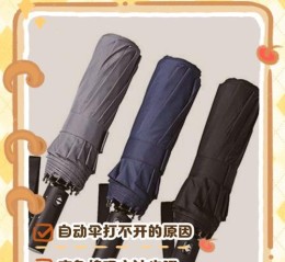 如何在《我的世界》中使用雨伞？雨伞的正确使用方法是什么？