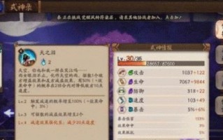 阴阳师中雨火流如何克制？有效的对战策略有哪些？