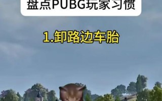 绝地求生中车轮模糊效果如何调整？