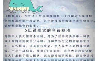 我的世界白鲸饲养方法？白鲸饲养需要注意什么？