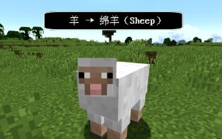 我的世界羊涂色技巧有哪些？