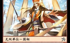 三国杀费祎动皮的获取方法是什么？有什么特殊用途？