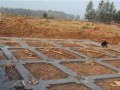 反恐精英腐化之地建房方法是什么？建房过程中需要注意什么？