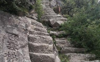 问道缥缈登云梯的玩法介绍？登云梯有哪些技巧？