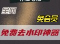 完美世界游戏水印去除方法是什么？是否会影响游戏体验？
