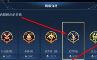 王者荣耀中如何选择合适的分类？选择标准是什么？