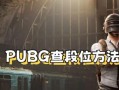 绝地求生五系等级的查看方法及意义是什么？