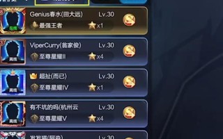 王者荣耀中如何查看排行？