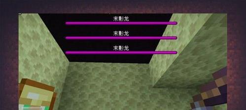 《我的世界》怎么打末影龙（详细攻略）-第2张图片-百团游戏