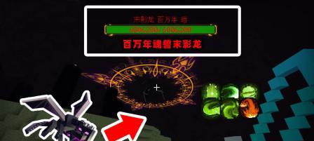 《我的世界》怎么打末影龙（详细攻略）-第3张图片-百团游戏