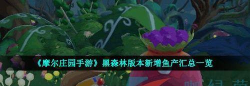 摩尔庄园手游720黑森林宝箱在哪里？神奇密码怎么找？-第2张图片-百团游戏