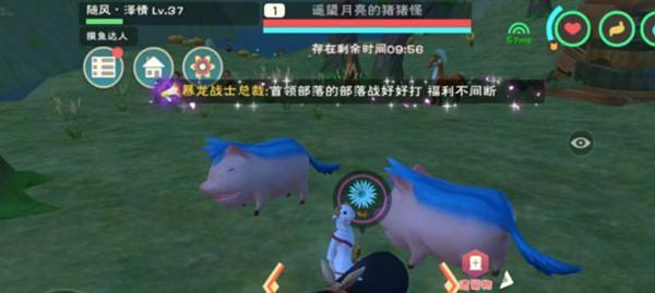如何获取创造与魔法2023最新永久坐骑兑换码？-第1张图片-百团游戏