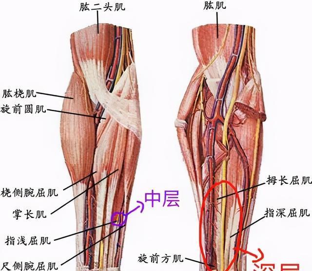 不朽之旅中腕力不足如何提升？腕力提升的详细解决方法是什么？-第3张图片-百团游戏
